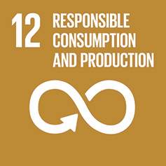 SDG 12 - Responsible consumption and production