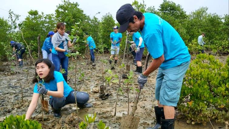 Our staff planting trees outside Ho Chi Minh city